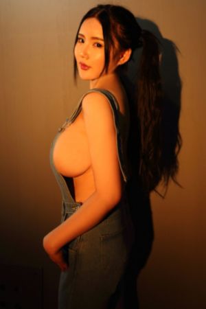 盒子里的猫