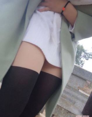 仓鼠管家