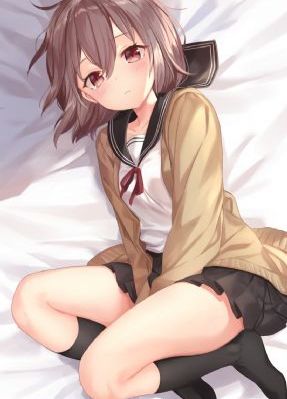鸭之一族