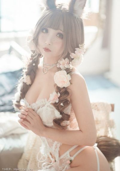 玫瑰花开电视剧全集免费观看